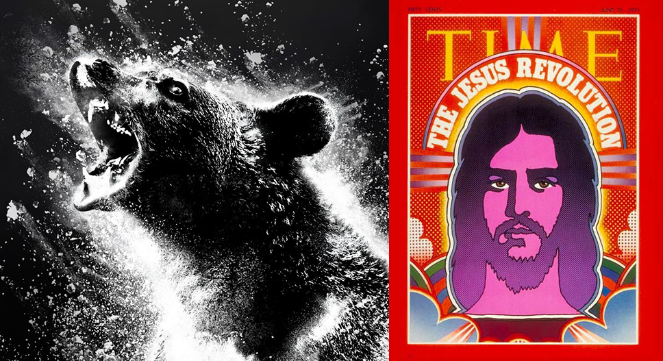 Two new releases – Cocaine Bear, and Jesus Revolution – are positioned to compete for the weekend of February 24-26 2023. Just now on KWVE radio, which is the flagship station of Calvary Chapel, listeners were urged to support Jesus Revolution.