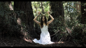 Screenshot from Antler Family's video "Bring Me Back My Love."